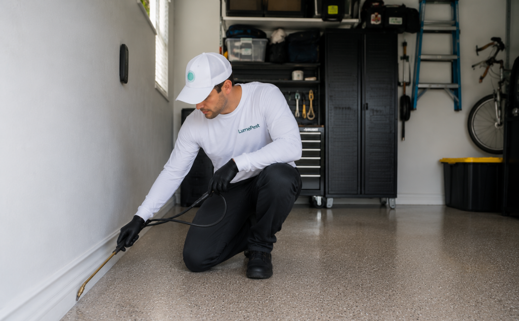 residential pest control west palm beach